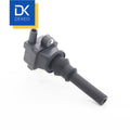 Ignition Coil F01R00A010