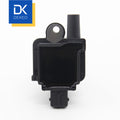Ignition Coil F01R00A010