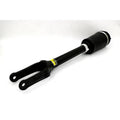 UAPT 1643206113 A1643206113 Air suspension Strut shock absorber for Bens GL-Class