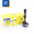 Ignition Coil 30520-R70-A01