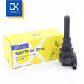 Ignition Coil F01R00A010
