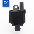 Ignition Coil F01R00A011