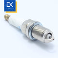 BKR6EIX Iridium Platinum Spark Plug